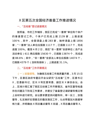 X区第五次全国经济普查工作推进情况.docx