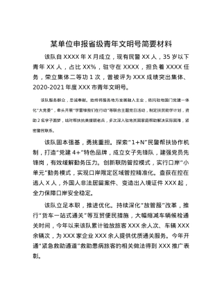 某单位申报省级青年文明号简要材料.docx