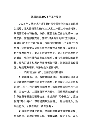 某局党组2024年工作要点.docx