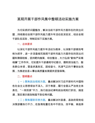 某局开展干部作风集中整顿活动实施方案.docx
