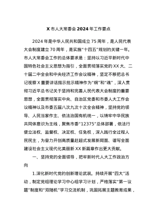 X市人大常委会2024年工作要点.docx