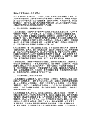 某市人大常委会2024年工作要点.docx