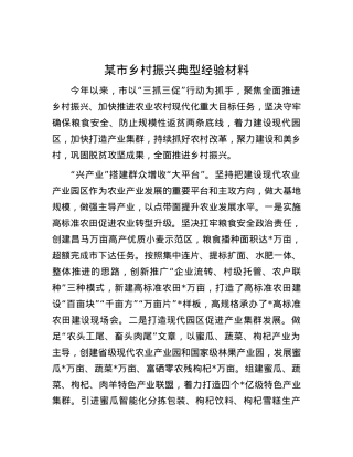 某市乡村振兴典型经验材料.docx