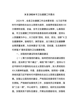 X县2024年卫生健康工作要点.docx