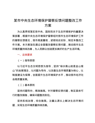 某市中央生态环境保护督察反馈问题整改工作方案.docx