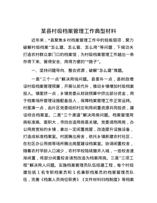 某县村级档案管理工作典型材料.docx