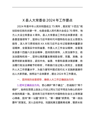 X县人大常委会2024年工作要点.docx