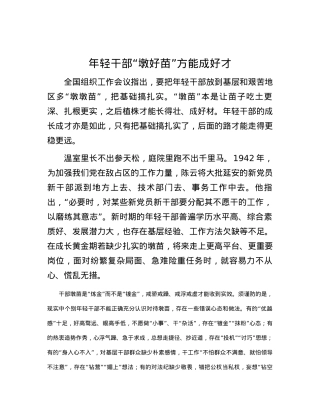 年轻干部“墩好苗”方能成好才.docx