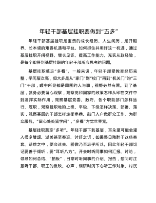 年轻干部基层挂职要做到“五多”.docx