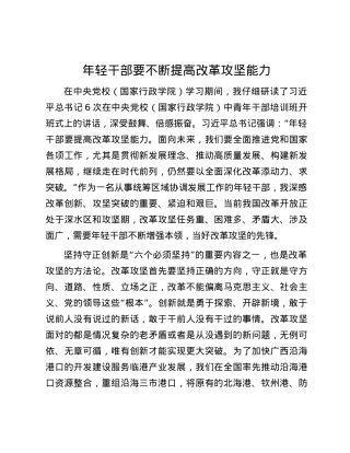 年轻干部要不断提高改革攻坚能力.docx