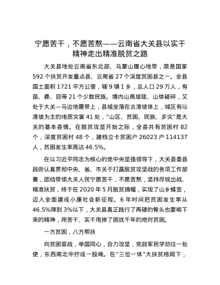 宁愿苦干，不愿苦熬——云南省大关县以实干精神走出精准脱贫之路.docx