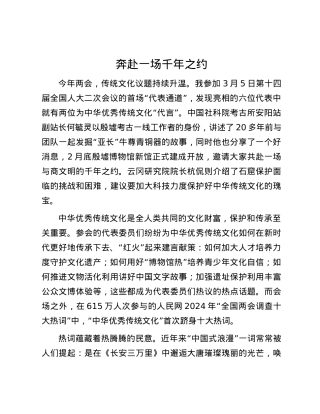 奔赴一场千年之约.docx