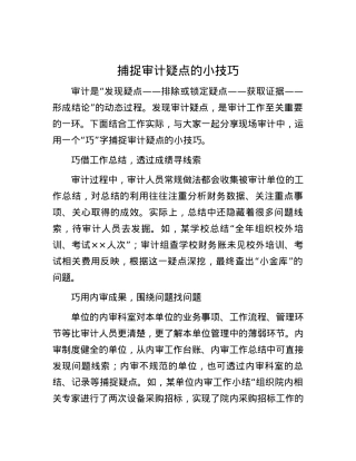 捕捉审计疑点的小技巧.docx