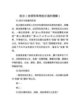 批示（含领导常用批示语的理解）.docx
