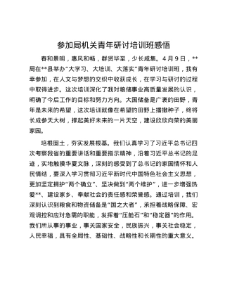 参加局机关青年研讨培训班感悟.docx
