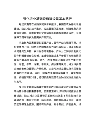 强化农业基础设施建设是基本路径.docx