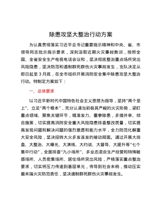 除患攻坚大整治行动方案.docx