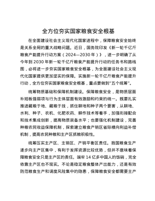 全方位夯实国家粮食安全根基.docx