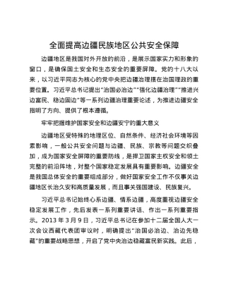 全面提高边疆民族地区公共安全保障.docx