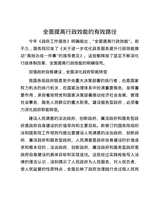 全面提高行政效能的有效路径.docx