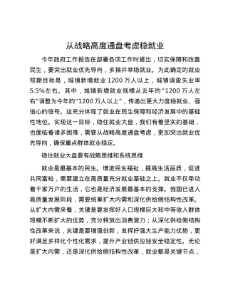 从战略高度通盘考虑稳就业.docx