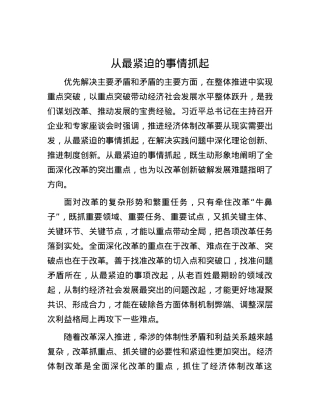 从最紧迫的事情抓起.docx