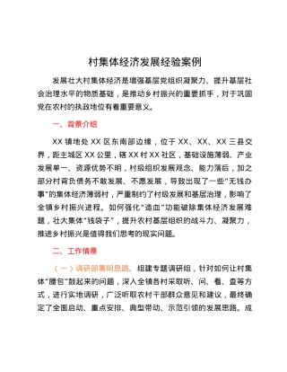村集体经济发展经验案例.docx