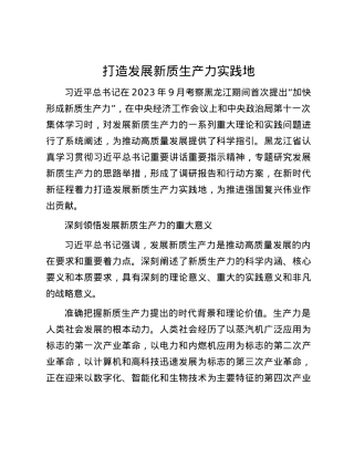 打造发展新质生产力实践地.docx