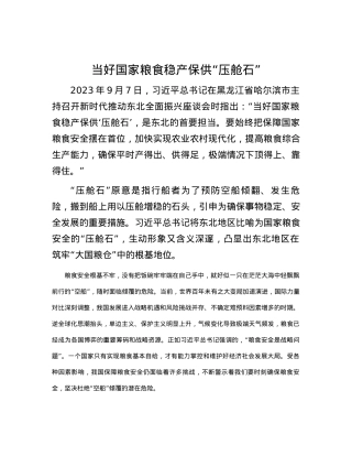 当好国家粮食稳产保供“压舱石”.docx