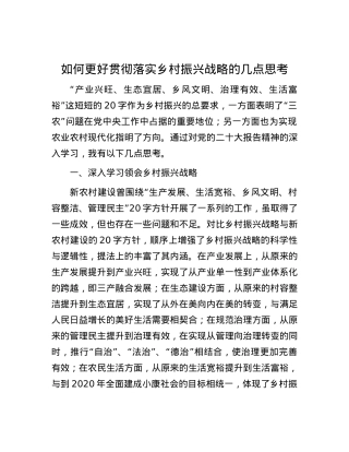 如何更好贯彻落实乡村振兴战略的几点思考.docx