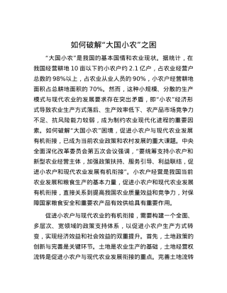 如何破解“大国小农”之困.docx