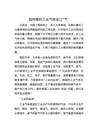 如何顺好工业气体这口“气”.docx