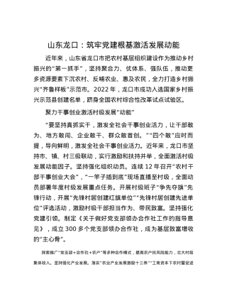 山东龙口：筑牢党建根基 激活发展动能.docx