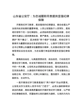 山东省公安厅：为忠诚履职尽责提供坚强纪律保障.docx