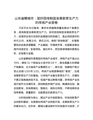 山东省聊城市：答好因地制宜发展新质生产力的传统产业答卷.docx