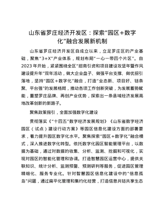 山东省罗庄经济开发区：探索“园区+数字化”融合发展新机制.docx