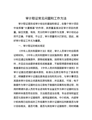 审计取证常见问题和工作方法.docx