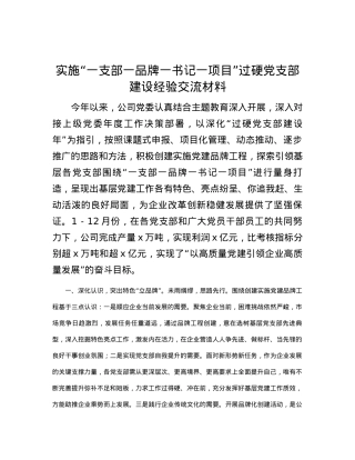 实施“一支部一品牌一书记一项目”过硬党支部建设经验交流材料.docx