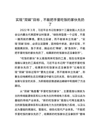 实现“双碳”目标，不能把手里吃饭的家伙先扔了.docx