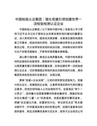 中国检验认证集团：强化党建引领创建世界一流检验检测认证企业.docx