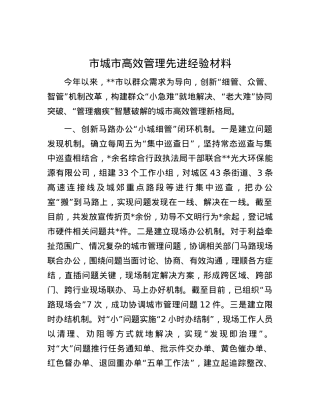 市城市高效管理先进经验材料.docx