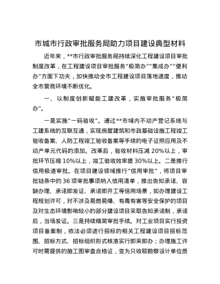 市城市行政审批服务局助力项目建设典型材料.docx