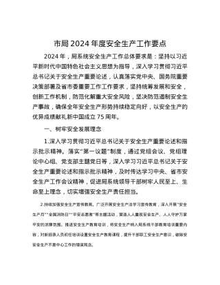 市局2024年度安全生产工作要点.docx