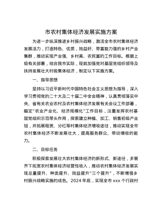 市农村集体经济发展实施方案.docx