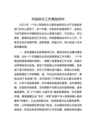市政府办工作典型材料.docx