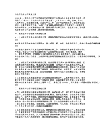 市政府政务公开实施方案.docx
