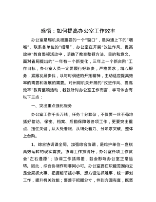 感悟：如何提高办公室工作效率.docx