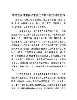 市总工会推进县级工会工作提升典型经验材料.docx