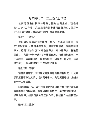 干好内审：“一二三四”工作法.docx