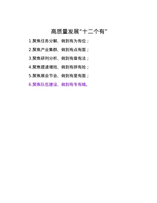 高质量发展“十二个有”.docx